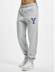 Champion Joggingbukser Rib Cuff grå