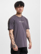 Champion Legacy t-shirt Legacy Crewneck grijs