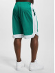 Champion Pantalón cortos Bermuda verde