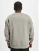 Champion Pullover Stranger Things grau
