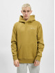 Champion Rochester Hoodies Rochester grøn