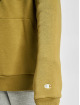 Champion Rochester Hoodies Rochester grøn