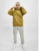 Champion Rochester Hoodies Rochester grøn