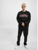 Champion Rochester Hoodies Crewneck sort