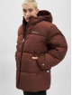 Champion Rochester Vinterjakker Winter brun