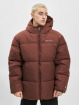 Champion Rochester Vinterjakker Winter brun