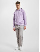 Champion Sudadera Hoody púrpura