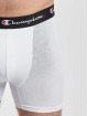 Champion Underwear Bokserit 2 Pack valkoinen