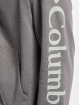 Columbia Bluzy z kapturem Viewmont™ Graphic szary