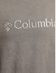 Columbia Hoodie CSC Basic Logo™ grey
