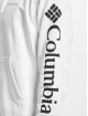 Columbia Hoodie Viewmont™ Sleeve Graphic white