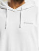 Columbia Hoody Viewmont™ Sleeve Graphic wit