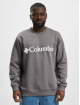 Columbia Pullover Logo Fleece grau