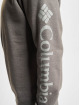Columbia Pulóvre Logo Fleece C šedá