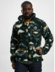 Columbia Transitional Jackets Winter Pass™ Print Fleece Full Zip grøn