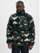 Columbia Transitional Jackets Winter Pass™ Print Fleece Full Zip grøn