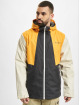 Columbia Winterjacke Inner Limits II grau