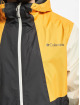 Columbia Winterjacke Inner Limits II grau