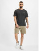 Columbia Šortky M Logo Fleece S Shorts 8" šedá