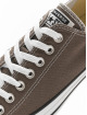 Converse Baskets All Star Ox gris