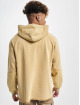 Converse Hoodie Washed Jersey brown