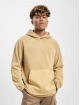 Converse Hoodie Washed Jersey brown