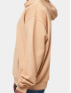 Dangerous DNGRS Hoody Teddy beige
