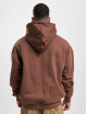 Dangerous DNGRS Hoody Rosecutter bruin