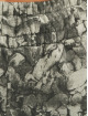 Dangerous DNGRS Jogging Marble Basic noir