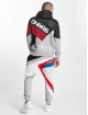 Dangerous DNGRS Sweat capuche TOWER gris