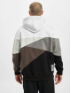 Dangerous DNGRS Sweat capuche zippé Limited Edition II blanc