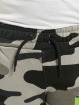 Dangerous DNGRS Sweat Pant Classic Junior camouflage