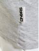 Dangerous DNGRS T-Shirt Crux grey