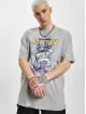 Dangerous DNGRS T-Shirt NoReturn grey