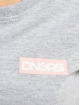 Dangerous DNGRS T-skjorter Crux grå