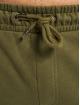DEF Short RoMp olive