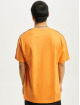 DEF T-Shirt Hekla orange