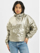 DEF Transitional Jackets Glossy gull