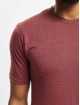 Denim Project T-Shirt 5-Pack gris