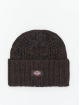 Dickies Beanie Hoxie bruin