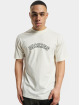 Dickies Camiseta West Vale blanco