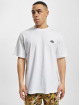 Dickies Camiseta Summerdale blanco