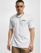 Dickies Camiseta Roseburg Box blanco