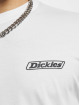 Dickies Camiseta Roseburg Box blanco