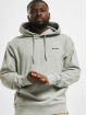 Dickies Hoodie Loretto grey