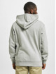 Dickies Hoodie Loretto grey