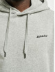 Dickies Hoodie Loretto grey