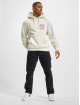 Dickies Hoody Marbury beige