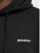 Dickies Hoody Loretto schwarz