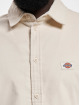 Dickies Kauluspaidat Wilsonville harmaa